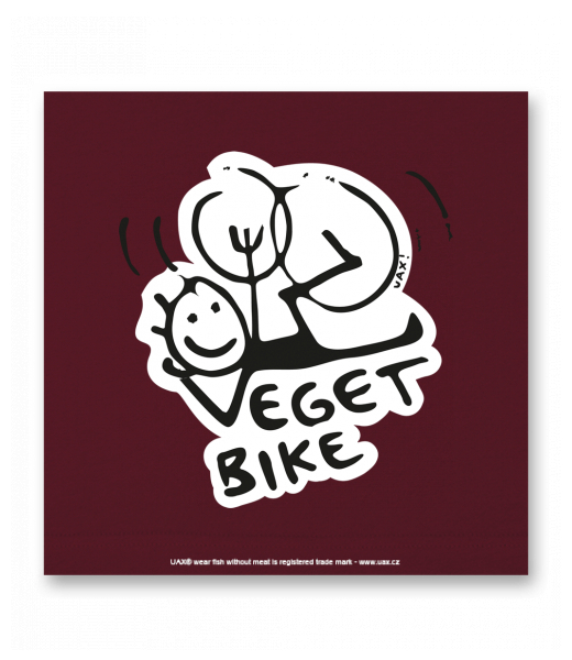 OBRAZ DO INTERIÉRU 110x110cm