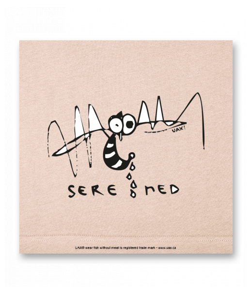 OBRAZ DO INTERIÉRU 110x110cm