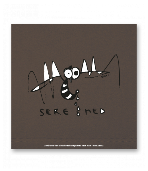 OBRAZ DO INTERIÉRU 110x110cm