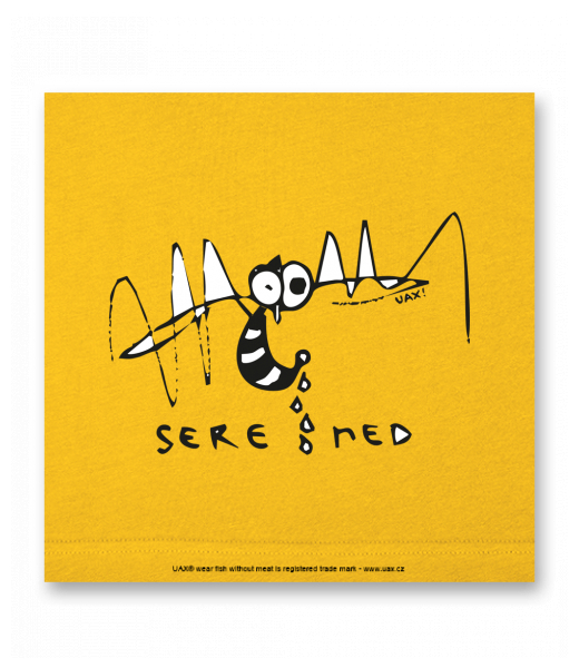 OBRAZ DO INTERIÉRU 110x110cm