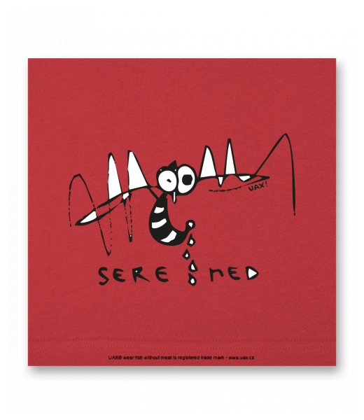 OBRAZ DO INTERIÉRU 110x110cm