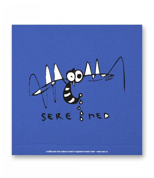 OBRAZ DO INTERIÉRU 110x110cm