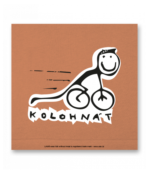 OBRAZ DO INTERIÉRU 110x110cm