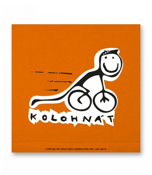 OBRAZ DO INTERIÉRU 110x110cm