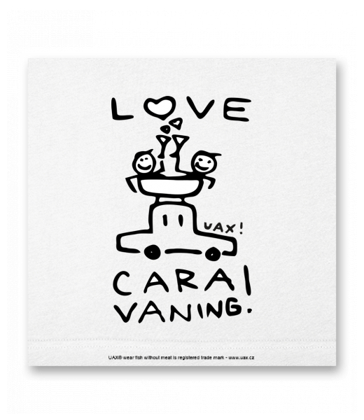 OBRAZ DO INTERIÉRU 110x110cm