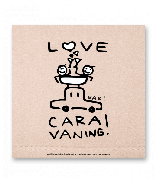 OBRAZ DO INTERIÉRU 110x110cm