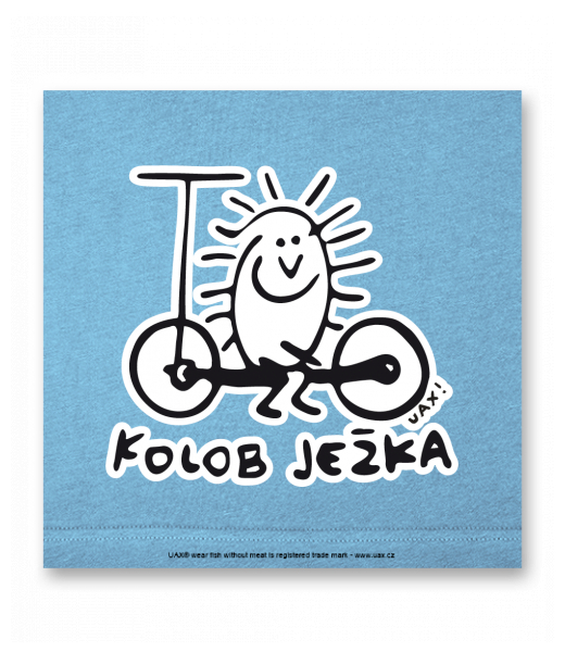 OBRAZ DO INTERIÉRU 110x110cm