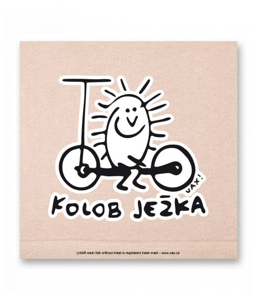 OBRAZ DO INTERIÉRU 110x110cm