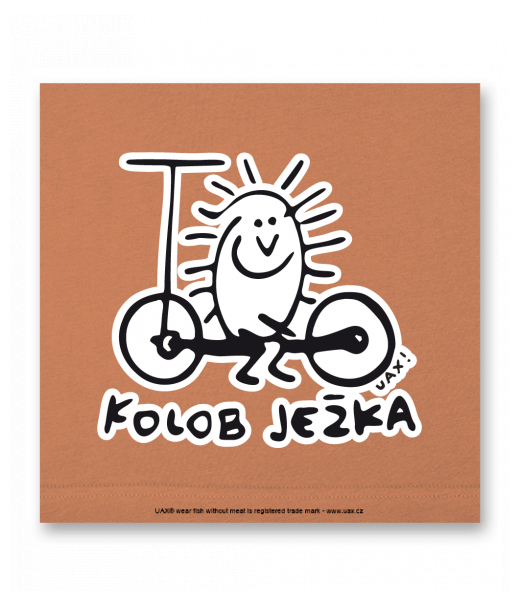 OBRAZ DO INTERIÉRU 110x110cm