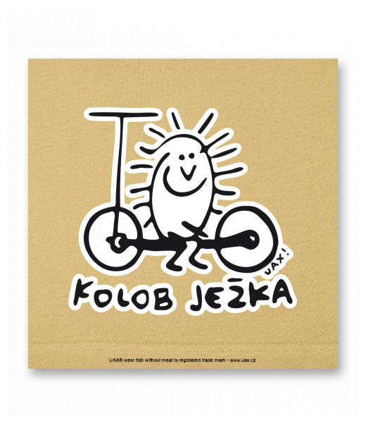 OBRAZ DO INTERIÉRU 110x110cm