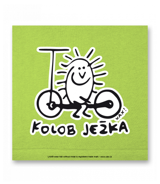 OBRAZ DO INTERIÉRU 110x110cm