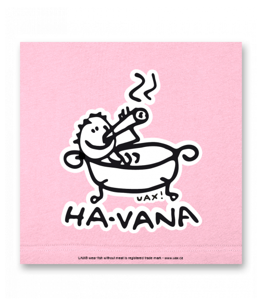 OBRAZ DO INTERIÉRU 110x110cm