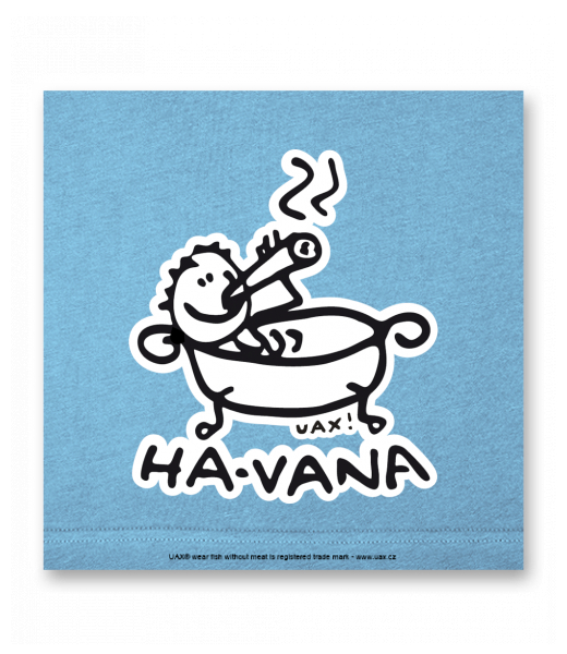 OBRAZ DO INTERIÉRU 110x110cm