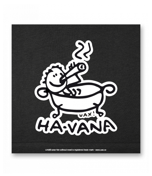 OBRAZ DO INTERIÉRU 110x110cm