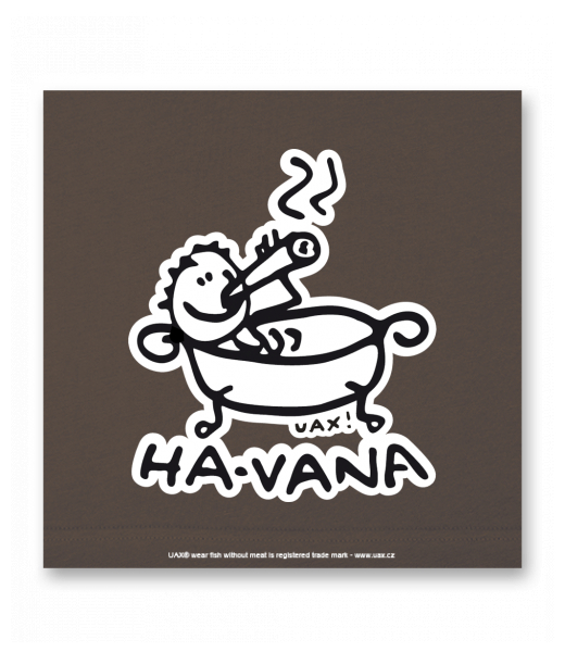 OBRAZ DO INTERIÉRU 110x110cm