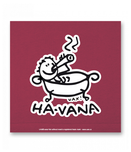 OBRAZ DO INTERIÉRU 110x110cm