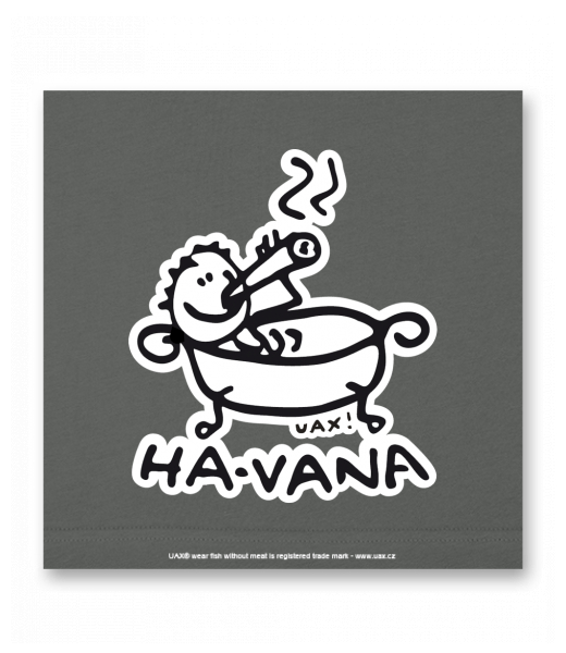 OBRAZ DO INTERIÉRU 110x110cm