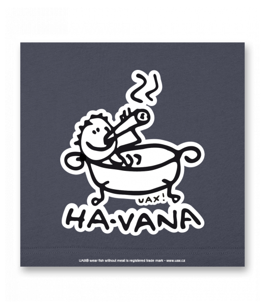 OBRAZ DO INTERIÉRU 110x110cm