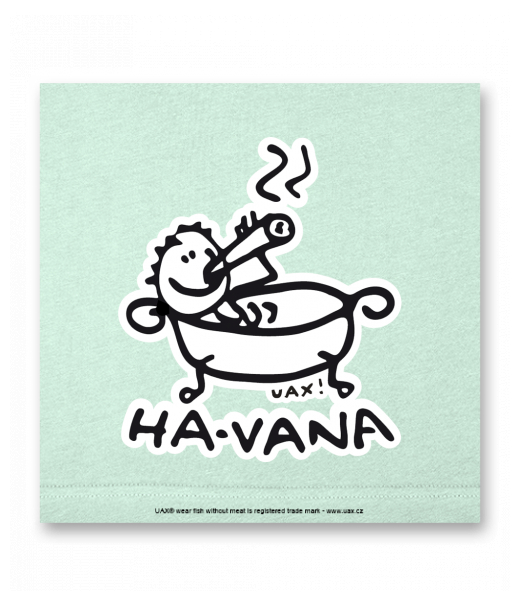 OBRAZ DO INTERIÉRU 110x110cm