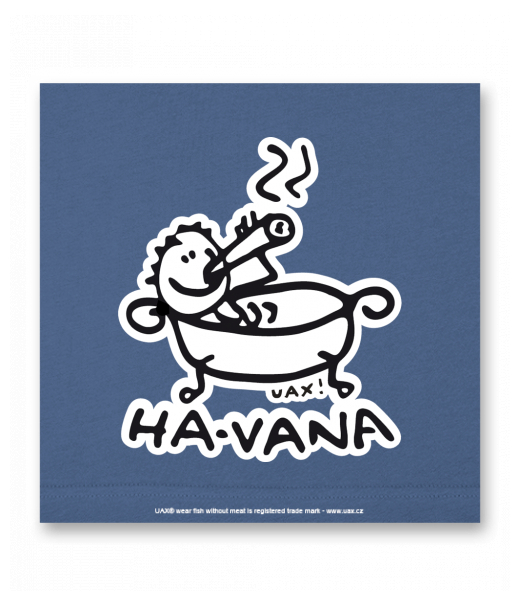 OBRAZ DO INTERIÉRU 110x110cm