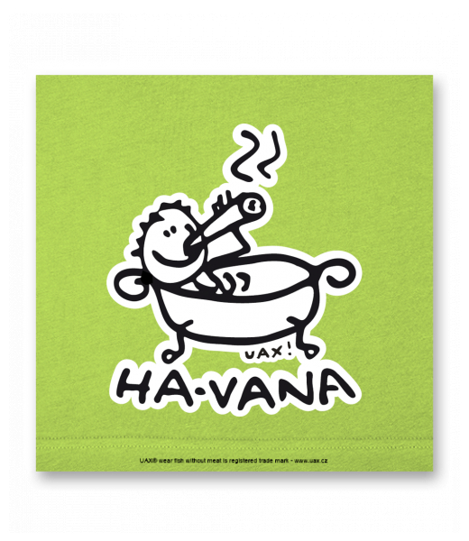 OBRAZ DO INTERIÉRU 110x110cm