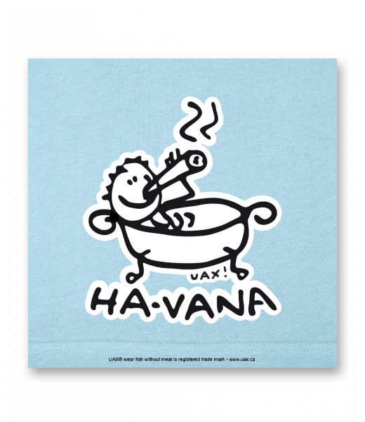 OBRAZ DO INTERIÉRU 110x110cm