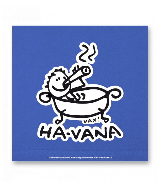 OBRAZ DO INTERIÉRU 110x110cm