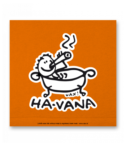 OBRAZ DO INTERIÉRU 110x110cm