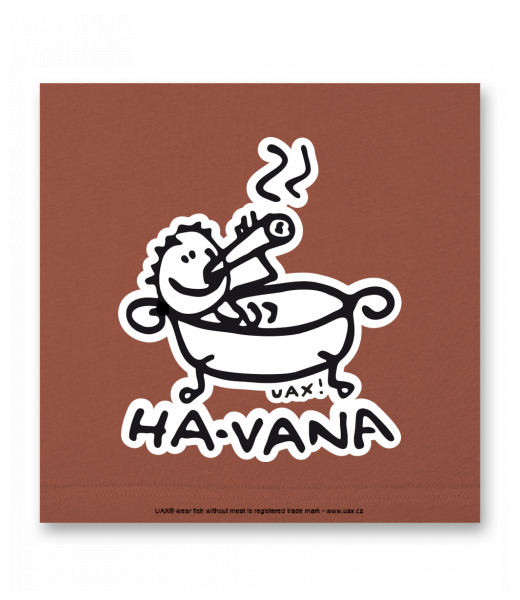 OBRAZ DO INTERIÉRU 110x110cm