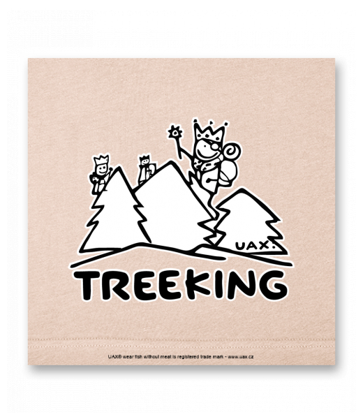 OBRAZ DO INTERIÉRU 110x110cm