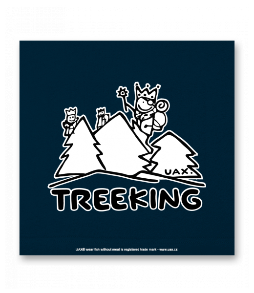 OBRAZ DO INTERIÉRU 110x110cm