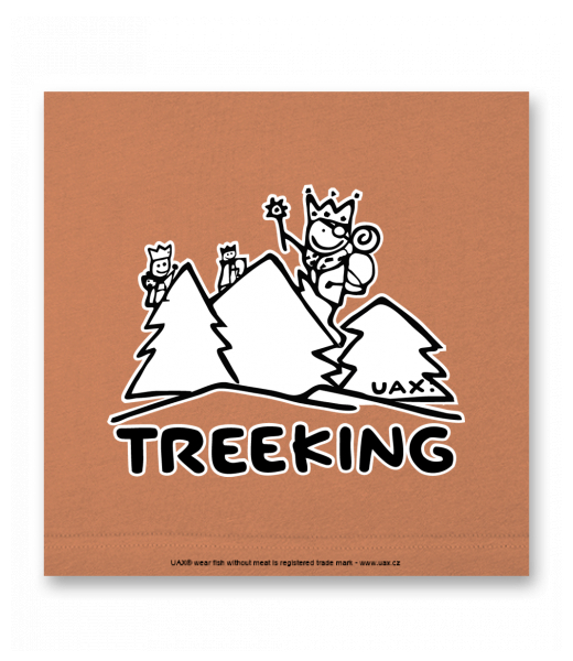 OBRAZ DO INTERIÉRU 110x110cm