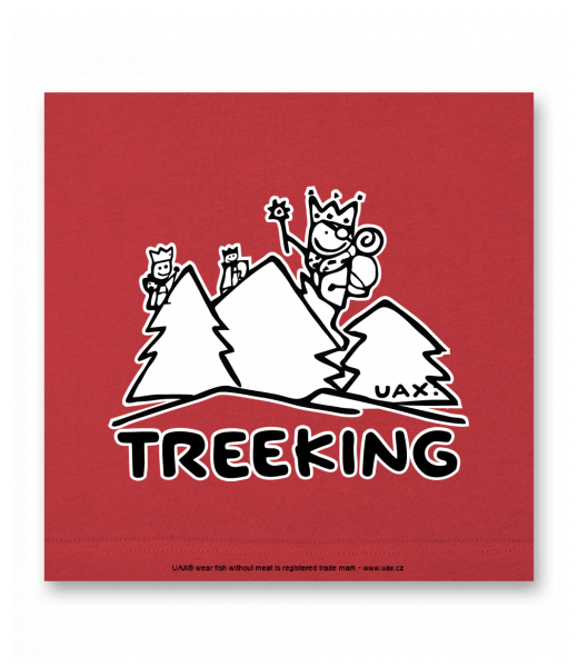 OBRAZ DO INTERIÉRU 110x110cm