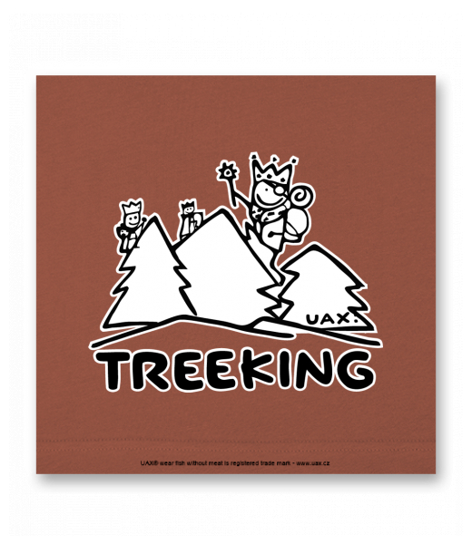 OBRAZ DO INTERIÉRU 110x110cm