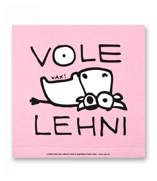 OBRAZ DO INTERIÉRU 110x110cm