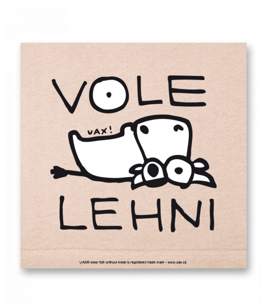 OBRAZ DO INTERIÉRU 110x110cm