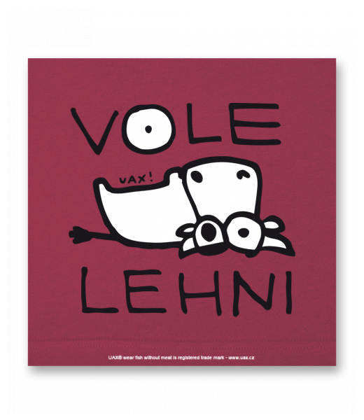 OBRAZ DO INTERIÉRU 110x110cm