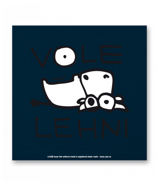 OBRAZ DO INTERIÉRU 110x110cm