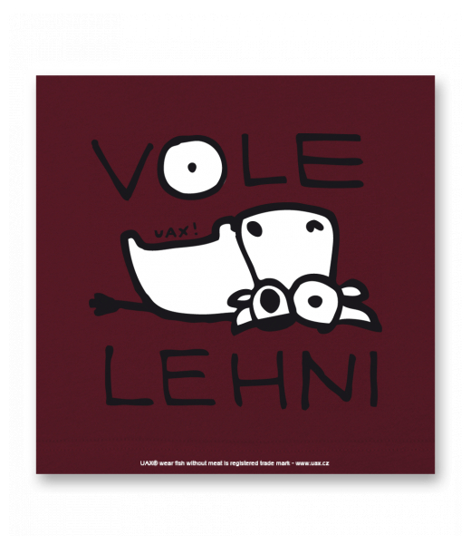 OBRAZ DO INTERIÉRU 110x110cm