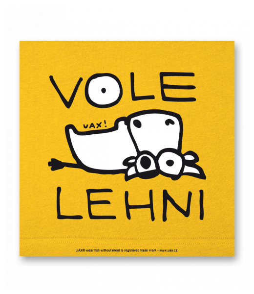 OBRAZ DO INTERIÉRU 110x110cm