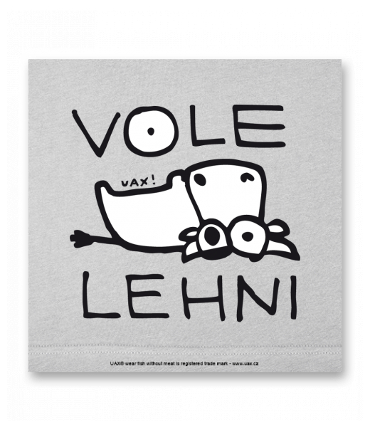 OBRAZ DO INTERIÉRU 110x110cm