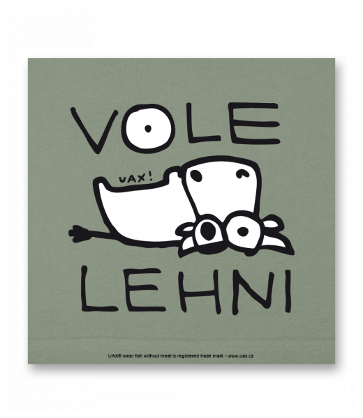 OBRAZ DO INTERIÉRU 110x110cm