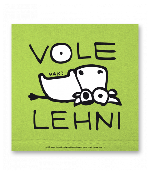 OBRAZ DO INTERIÉRU 110x110cm