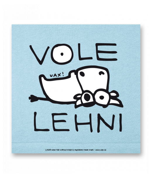 OBRAZ DO INTERIÉRU 110x110cm