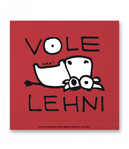 OBRAZ DO INTERIÉRU 110x110cm