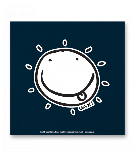 OBRAZ DO INTERIÉRU 110x110cm