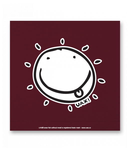 OBRAZ DO INTERIÉRU 110x110cm