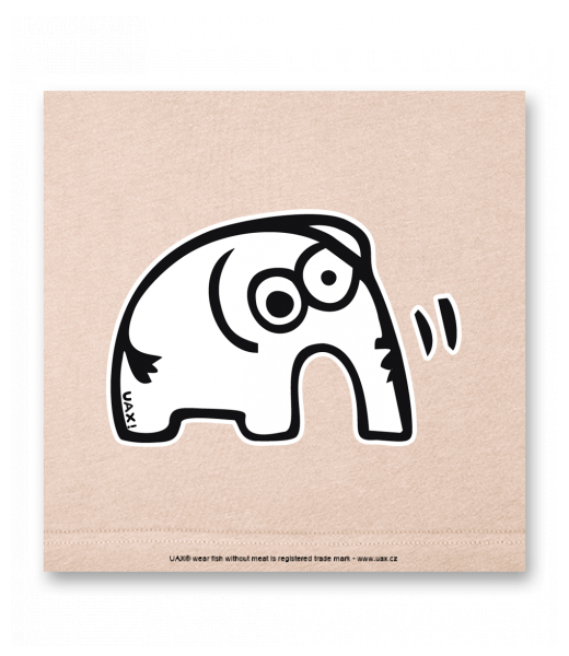 OBRAZ DO INTERIÉRU 110x110cm