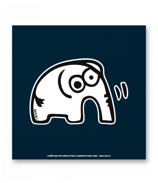 OBRAZ DO INTERIÉRU 110x110cm