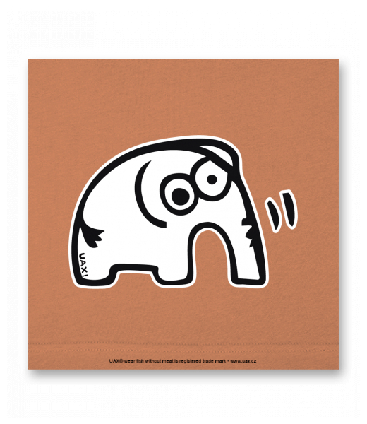 OBRAZ DO INTERIÉRU 110x110cm